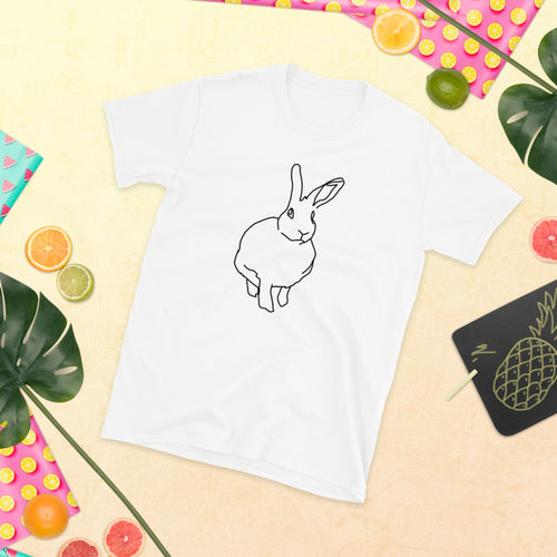 Light rabbit shirt